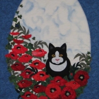 Kitty in the Poppies