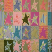 Buggy Barn Star Crazies
